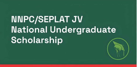 Seplat JV Undergraduate Scholarship 2025...